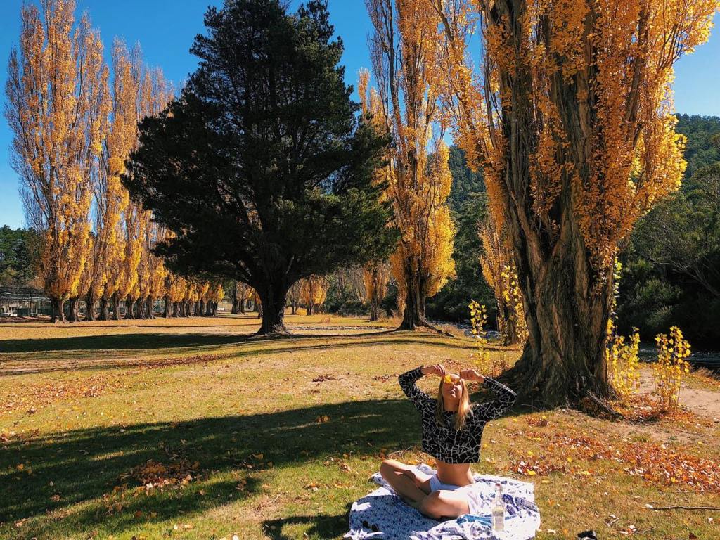 Autumn Trout Hatchery