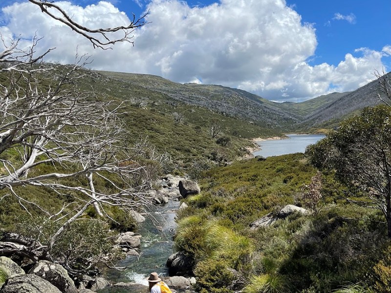 Top 5 Beginner Hikes Around&nbsp;Jindabyne