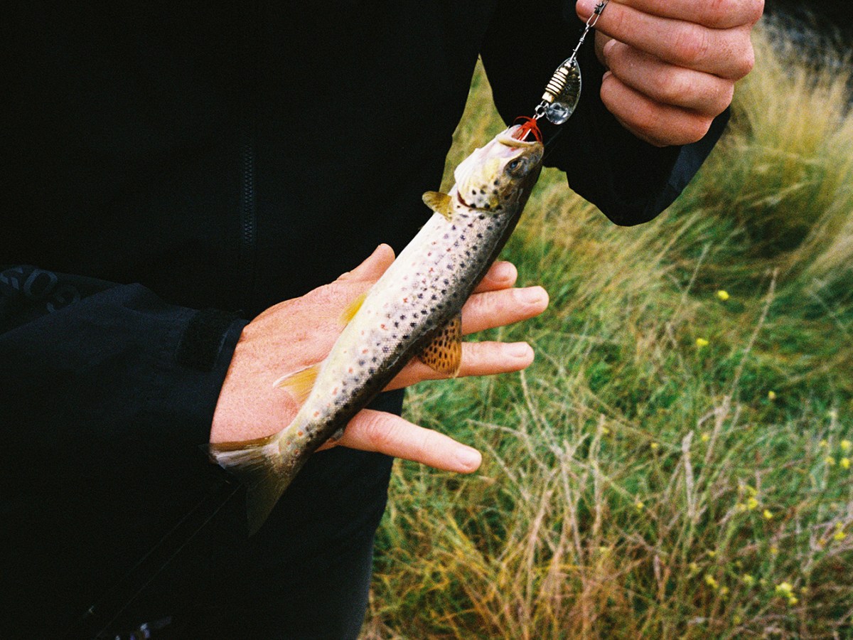 Things to do in Jindabyne |&nbsp;Summer