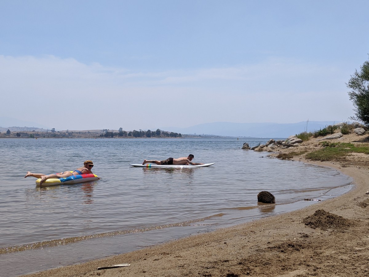 Best Places to Swim in Lake&nbsp;Jindabyne