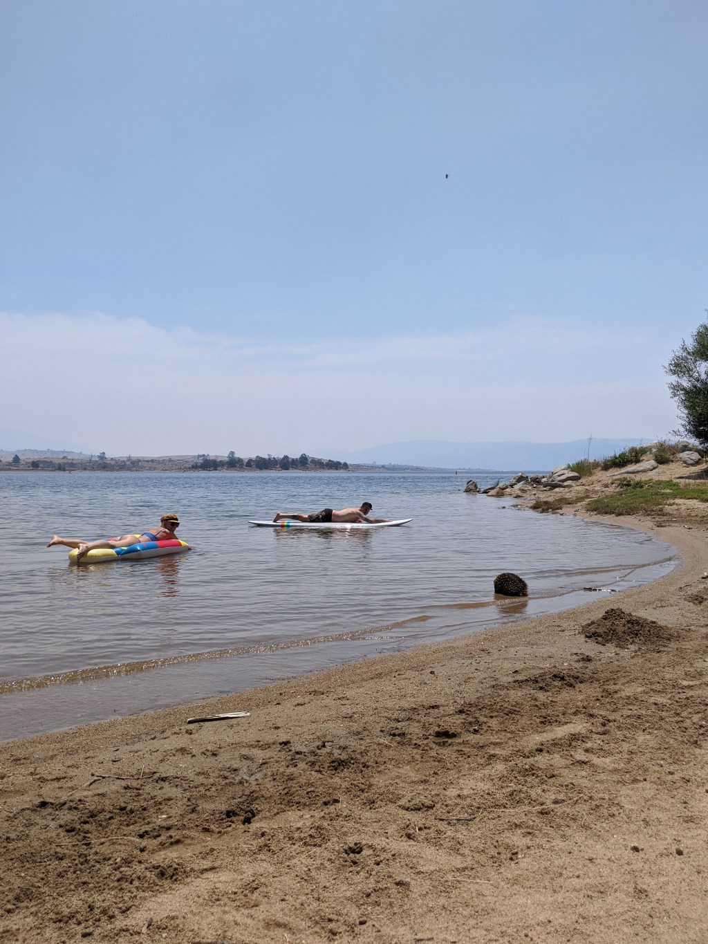 Best Places to Swim in Lake&nbsp;Jindabyne