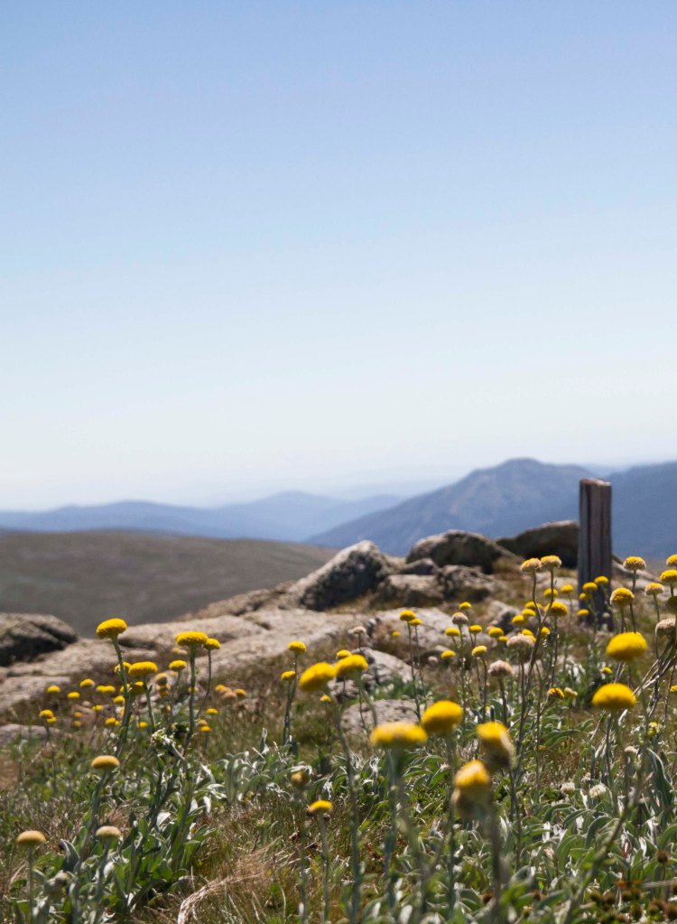 Camping in Kosciuszko National Park